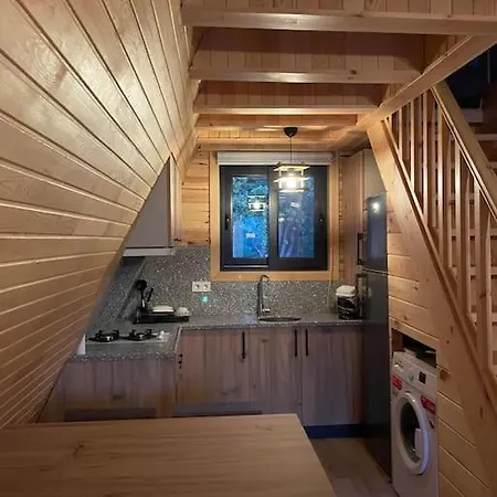 Doganin Icinde Lueks Jakuzili Balayi Bungalovu Dağ evi